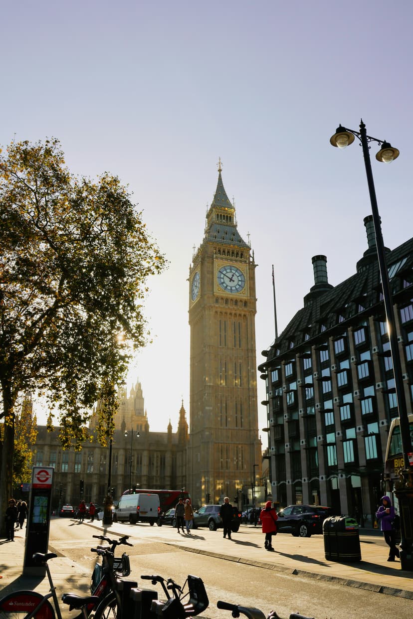 Sightseeing Tours